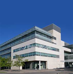 company overview - milmann